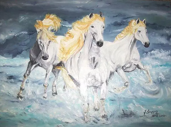 Jolanta Steppun - horses