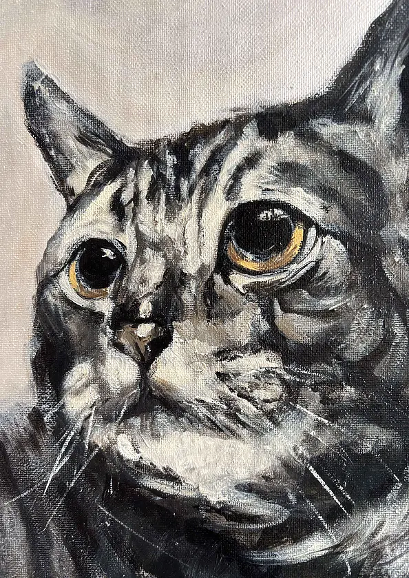 Joanna Szcześniewska - Katze 1