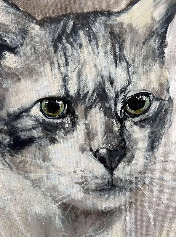 Joanna Szcześniewska - Katze 2