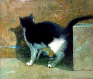 Piotr Pilawa - tabby cat