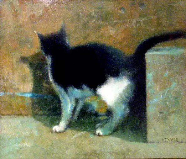 Piotr Pilawa - tabby cat