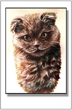 Jolanta Dusza - kotek10