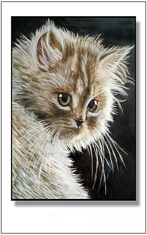 Jolanta Dusza - kotek11