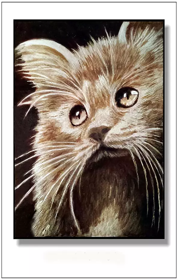 Jolanta Dusza - kotek12