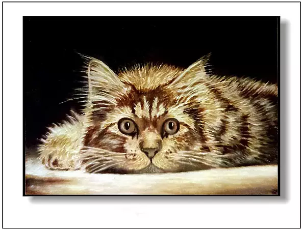 Jolanta Dusza - kotek14