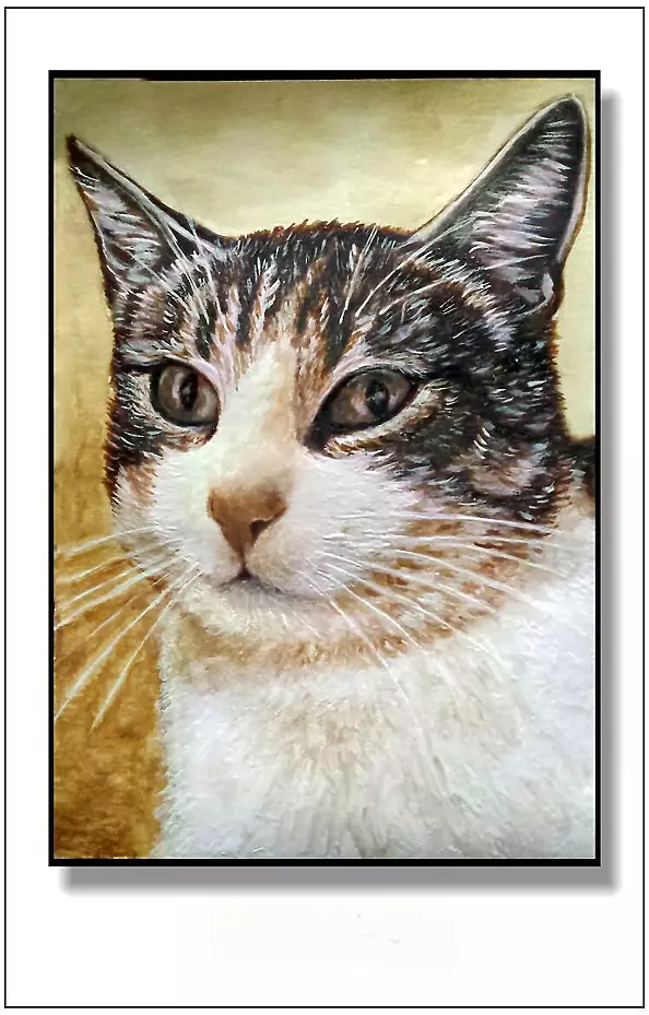 Jolanta Dusza - kotek17