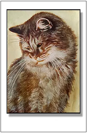 Jolanta Dusza - kotek18