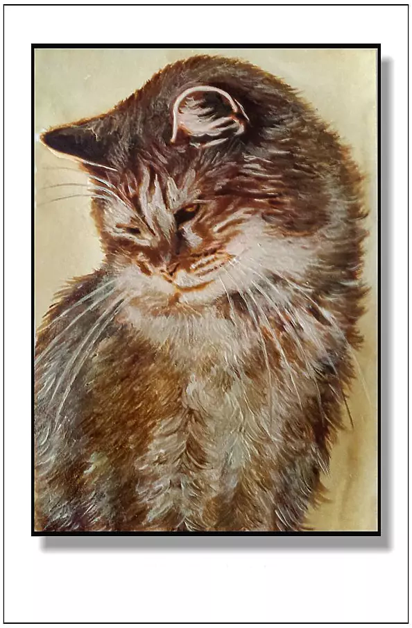 Jolanta Dusza - kotek18