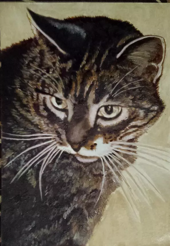 Jolanta Dusza - kotek19