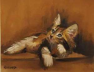 Krzysztof Kloskowski - kitten