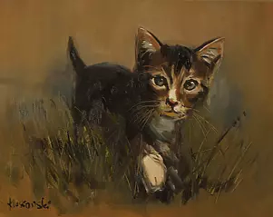 Krzysztof Kloskowski - kitten