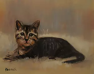Krzysztof Kloskowski - kitten