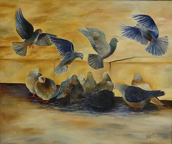 Maria Sularz - Krakow pigeons