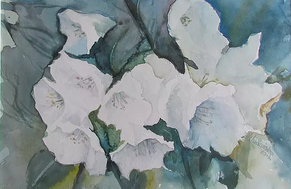 Hanna Uchmańska - kwiaty 2