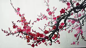 Anna Witek - kwitnąca wiśnia