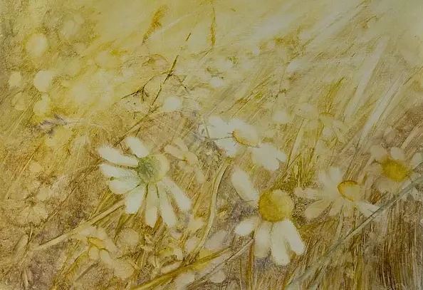 Monika Bielat Sobiczewska - łąka