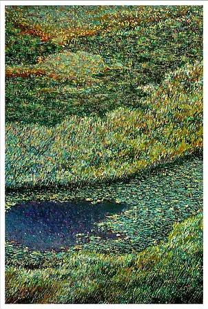 Marek Chomczyk - Łąka