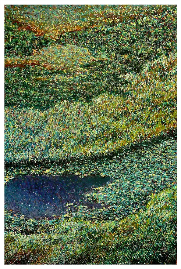 Marek Chomczyk - Meadow