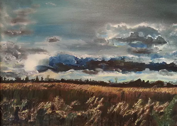 Stanisław Tobiasz - fields of grain