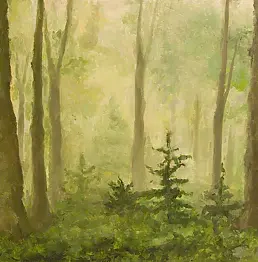 Magdalena Bartocha - forest