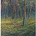 Marek Chomczyk - forest