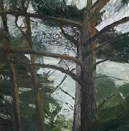 Aleksander Sobek - forest ritmos / ritmos-for-est I-8