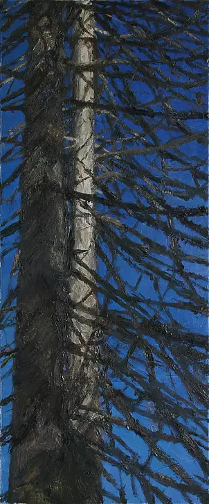   - las ritmos/for-ritmos-est II-4