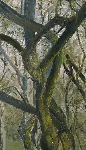   - Las ritmos/for-ritmos-est IV-3