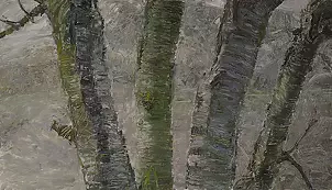   - Las ritmos/for-ritmos-est IV-4