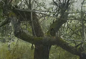   - Las ritmos/for-ritmos-est V-1