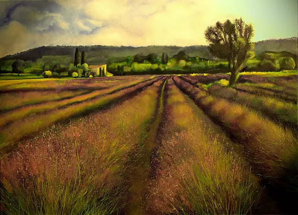 Honorata Rybka-Szarmach - lavender