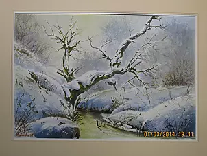 Jacek Stryjewski - forest stream in winter