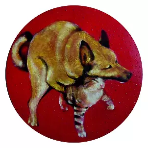   - like dog with cat from cycle I love You