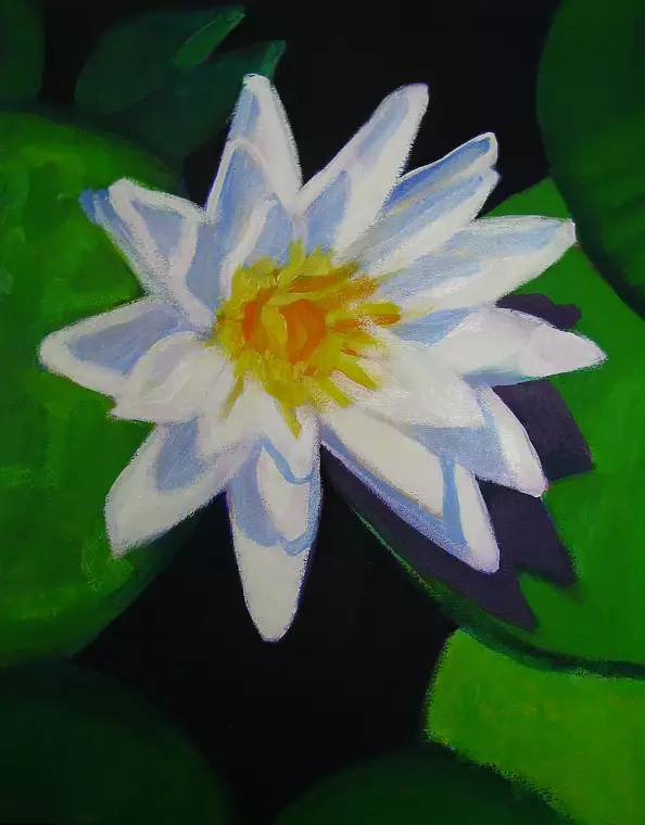 Mariusz Sobociński - Lily