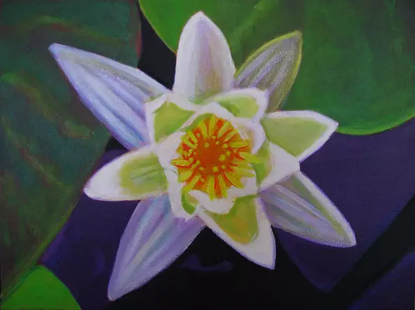 Mariusz Sobociński - lily