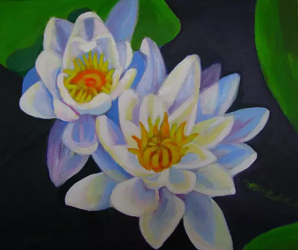 Mariusz Sobociński - lilia