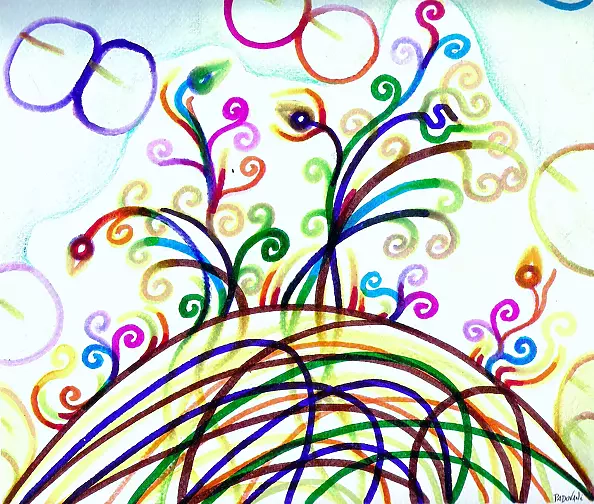 Padovani Nicolas - lines