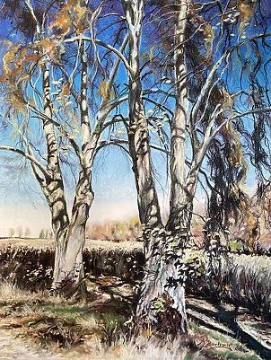 Rafał Bochra - lipy na Kamionce/Kluczkowice