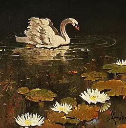 Dusan Vukovic - lonely swan