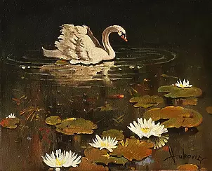 Dusan Vukovic - lonely swan
