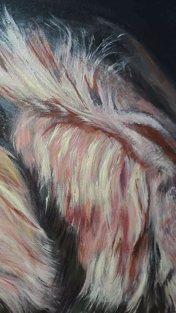 Ewa Mościszko - lions love