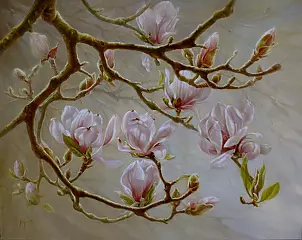 Maria Gruza - magnolia