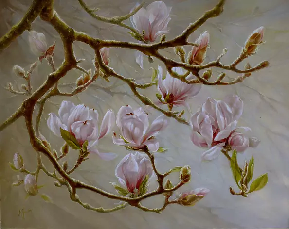 Maria Gruza - magnolia