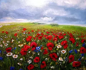 Alicja Urbaniak - poppies
