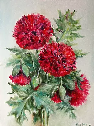 Jadwiga Marcinek - maki pełne karmionowe