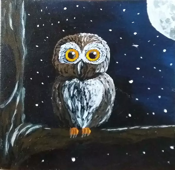 Paweł Jan Kotwica - mała sówka 