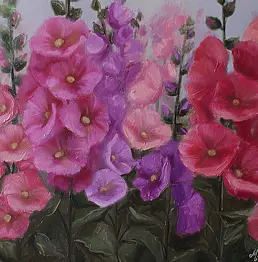 Marta Wideńska - mallow