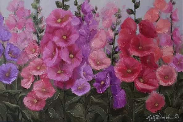 Marta Wideńska - malwy