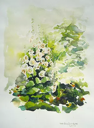 Rafał Bochra - malwy przy winoroślach