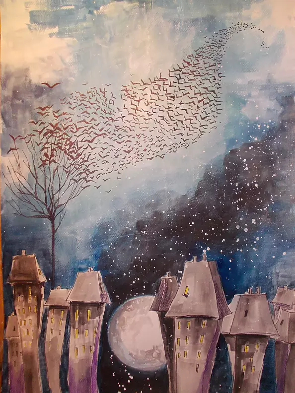 Adriana Laube - migration